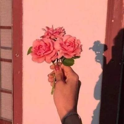 次元之门手机版下载
